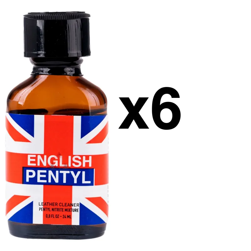 BGP Leather Cleaner ENGLISH PENTYL 24ml x6